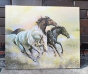 Картина 50*60 лошади ассорти (холст , масло)