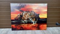 Леопард  800*600 картина