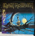 Виниловая пластинка Iron Maiden Fear Of The Dark