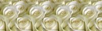 Белые розы панель интерьерная 600*2000 мм 